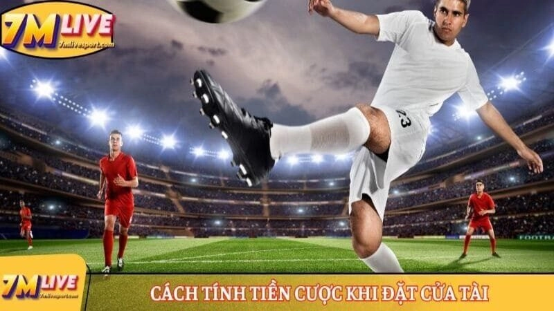 Cách tính tiền cược khi đặt cửa Tài